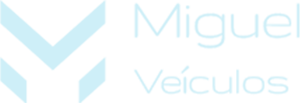 16 MIGUEL VEICULOS 2